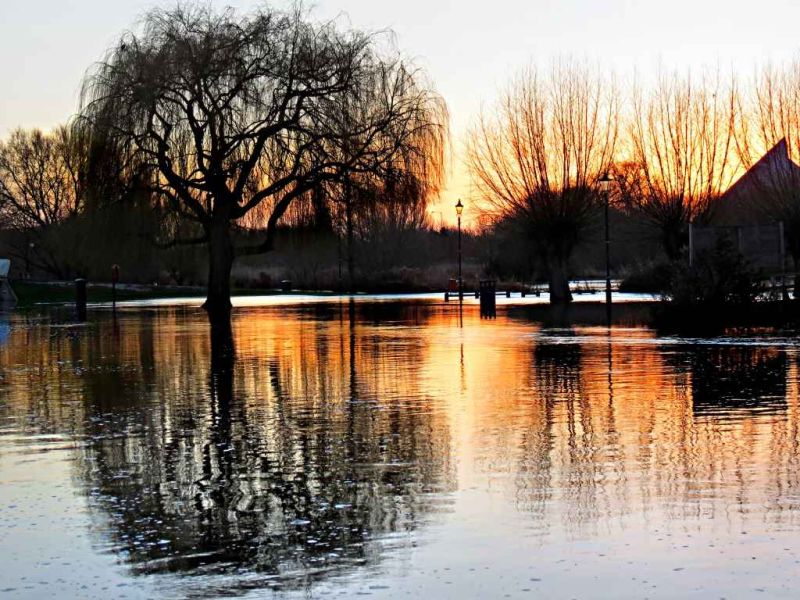 tree reflection on the great ouse.jpg